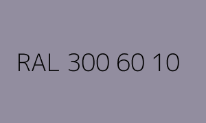Farbmuster RAL 300 60 10