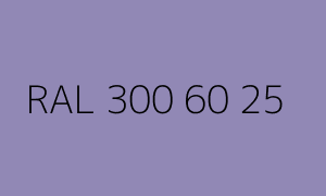 Farbmuster RAL 300 60 25