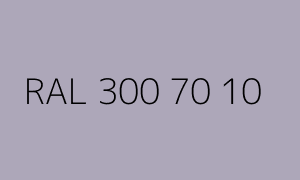 Farbmuster RAL 300 70 10